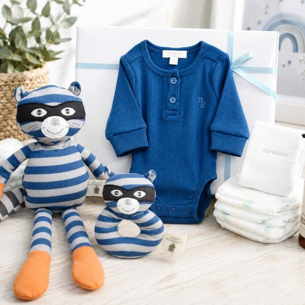 Baby Boy Organic Bundle