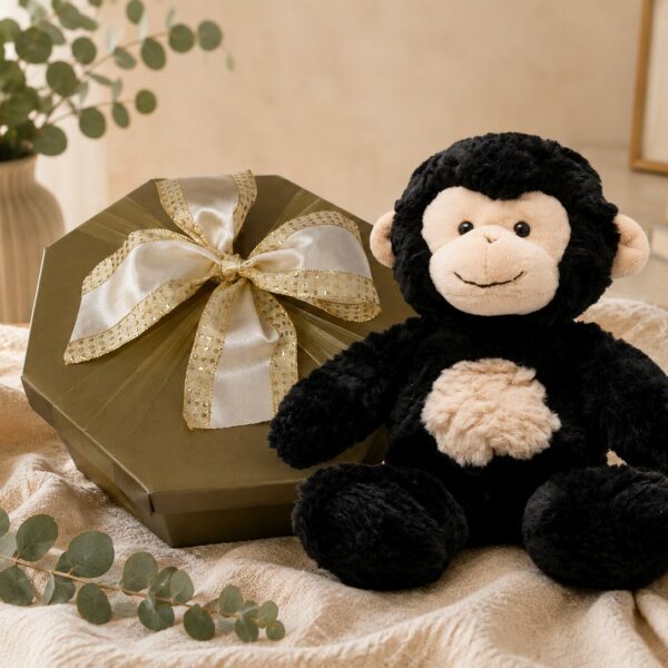 Mikie the Monkey in a Box