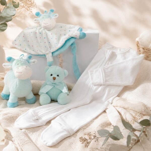 Newborn Hamper - Boy