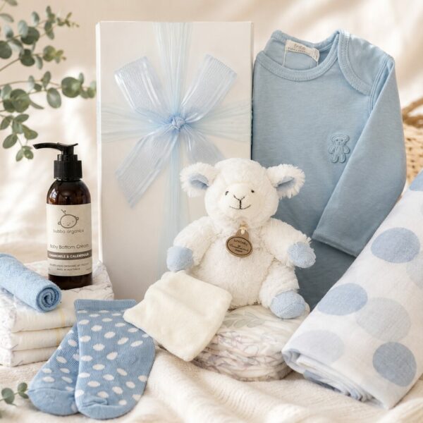 Snuggle Baby Boy Hamper